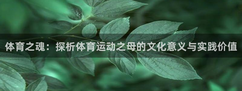 MK体育官方正版app科技：体育之魂：探析体育运动之