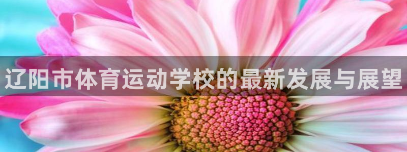 MK体育官方正版app官网：辽阳市体育运动学校的最新