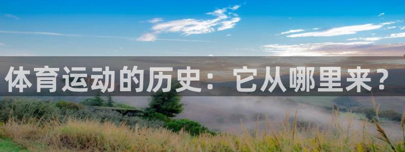 德国MK体育官方正版app集团：体育运动的历史：它从