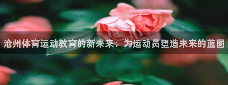 MK体育官网下载招商电话是多少：沧州体育运动教育的新