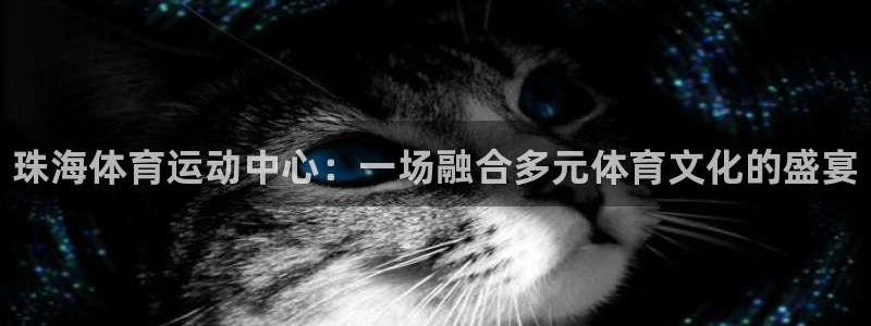 MK体育官方正版app集团E.ON：珠海体育运动中心：一场融