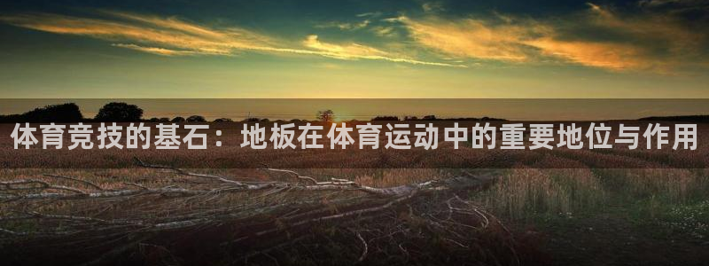 MK体育官方正版app娱乐：体育竞技的基石：地板在体育运动中