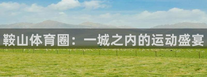 MK体育官网下载注册：鞍山体育圈：一城之内的运动盛宴