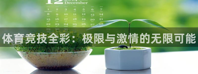 MK体育官网下载招商电话号码是多少啊：体育竞技全彩：