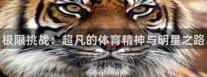 MK体育官网下载平台：极限挑战：超凡的体育精神与明星