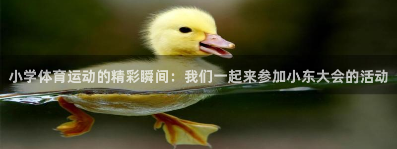 MK体育官方正版app五金厂：小学体育运动的精彩瞬间