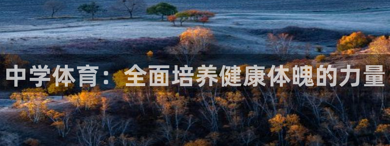 MK体育官网下载平台假的吗是真的吗吗：中学体育：全面