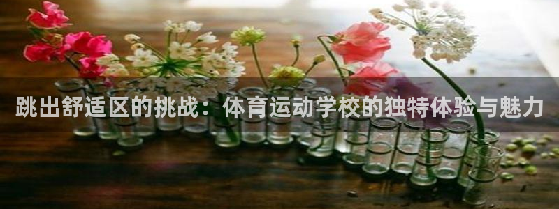 MK体育官网下载招商电话号码查询是多少：跳出舒适区的