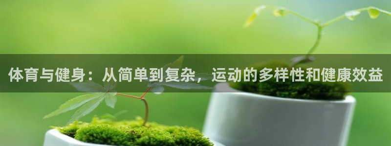 MK体育官方正版app五金厂：体育与健身：从简单到复