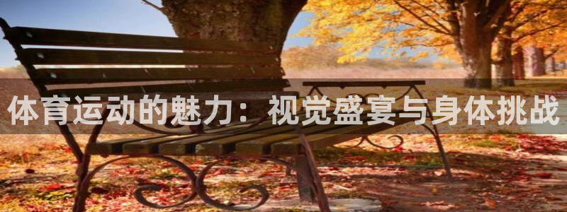 MK体育官网下载平台假的吗是真的吗吗：体育运动的魅力