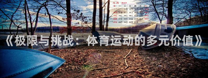 MK体育官方正版app官方:《极限与挑战:体育运动的多元价值