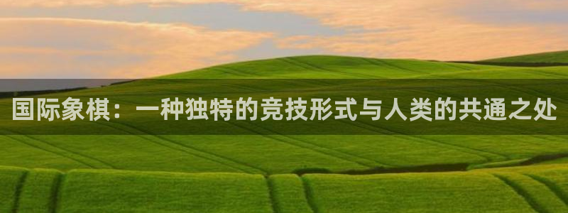 MK体育官网下载平台假的吗是真的吗：国际象棋：一种独