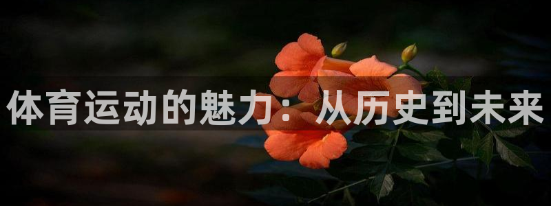 MK体育官方正版app集团logo