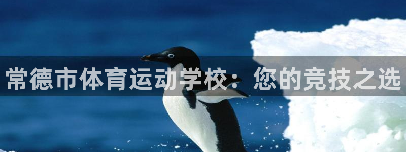 MK体育官网下载招商电话号码查询:常德市体育运动学校:您的竞