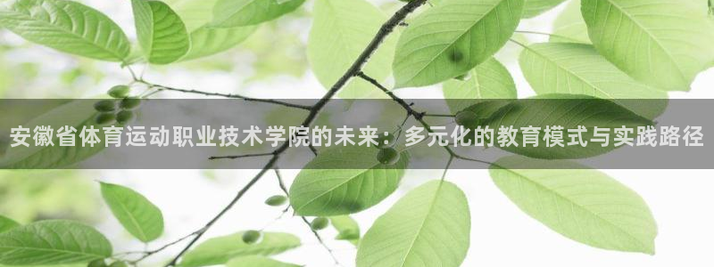 MK体育官网下载平台:安徽省体育运动职业技术学院的未来:多元