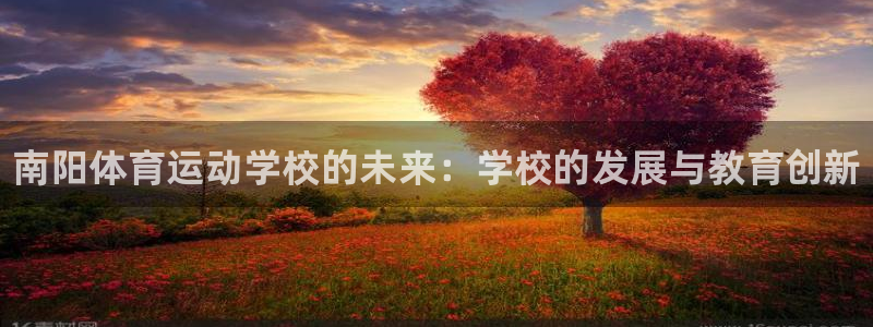MK体育官网下载平台注册:南阳体育运动学校的未来:学校的发展