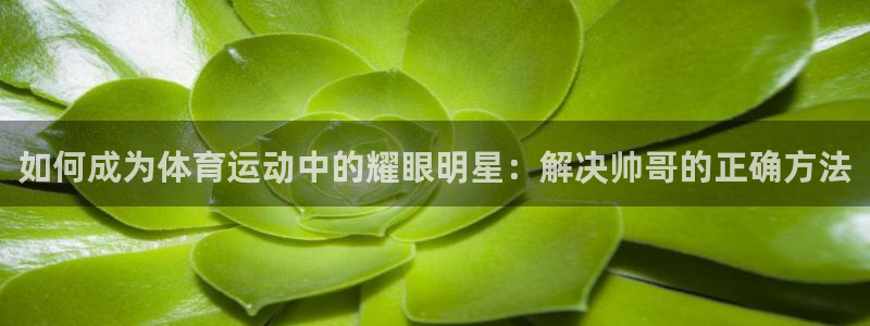 MK体育官网下载平台假的吗是真的吗:如何成为体育运动中的耀眼