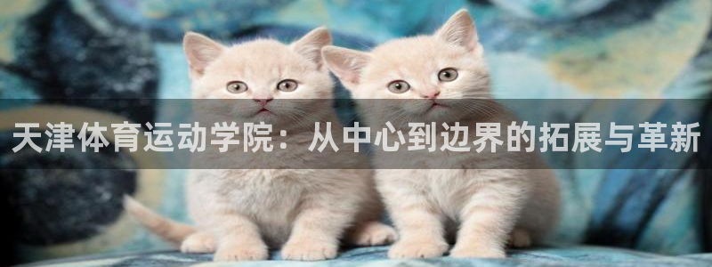 德国MK体育官方正版app集团:天津体育运动学院:从中心到边