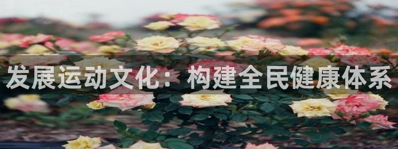 注册MK体育官方正版app:发展运动文化:构建全民健康体系